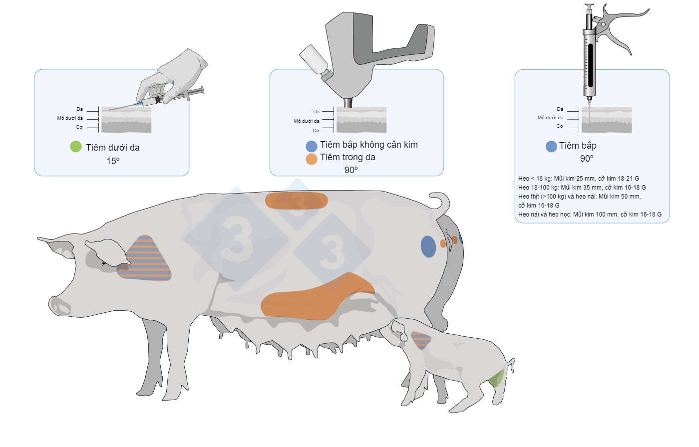 Vaccine application sites and types in pigs and piglets